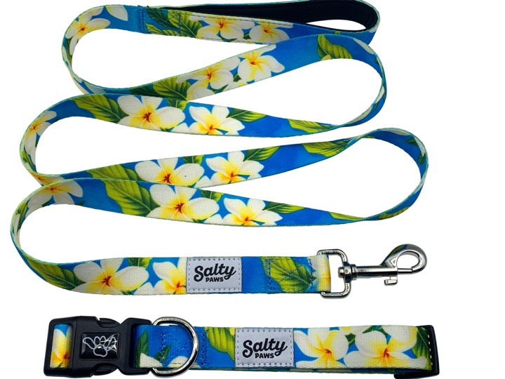 Salty Paws product